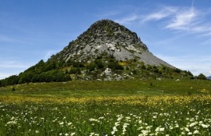 Gerbier des Joncs